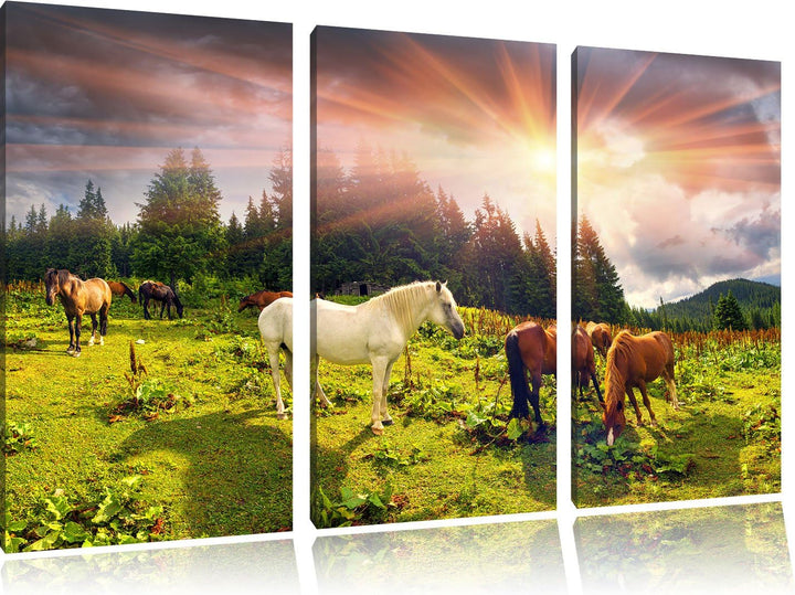 Pixxprint Carpathian Mustangs Pferde auf den Bergen 3-Teiler Leinwandbild 120x80 Bild auf Leinwand