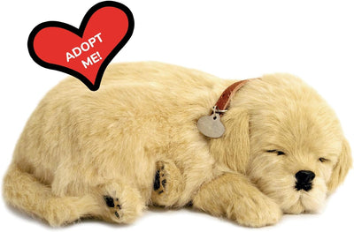 Perfect Petzzz - 4908 - Plüsch - Hund Golden Retriever