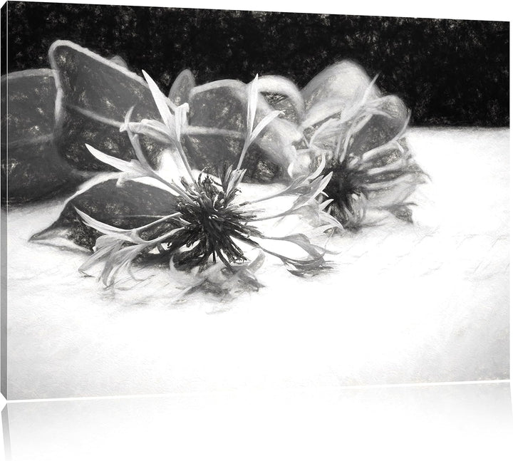 Pixxprint Notenblatt mit Kornblume als Leinwandbild/Grösse: 100x70 / Wandbild/Kunstdruck/fertig besp