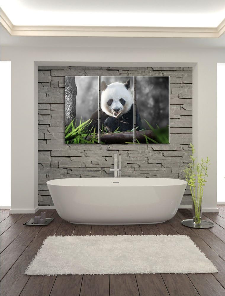 Pixxprint Niedlicher Panda isst Bambus B&W Detail 3-Teiler Leinwandbild 120x80 Bild auf Leinwand