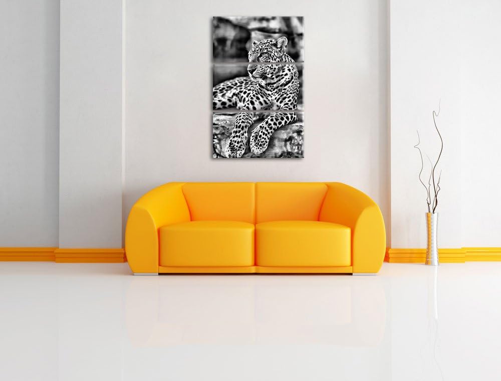 Pixxprint Majestätischer Leopard als Leinwandbild/Grösse: 3 Teilig (120x80) cm/Wandbild/Kunstdruck/f