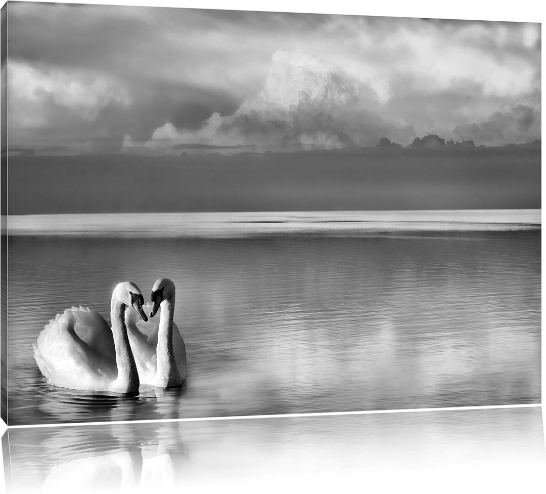 Pixxprint Schwäne in Abenddämmerung / 100x70cm Leinwandbild bespannt auf Holzrahmen/Wandbild Kunstdr