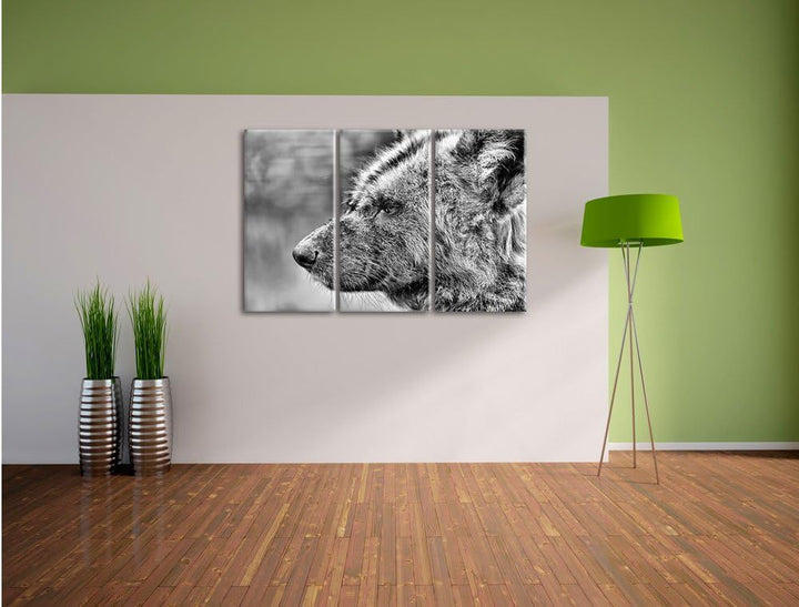 Pixxprint Hyäne im Seitenprofil als Leinwandbild/Grösse: 3 Teilig (120x80) cm/Wandbild/Kunstdruck/fe