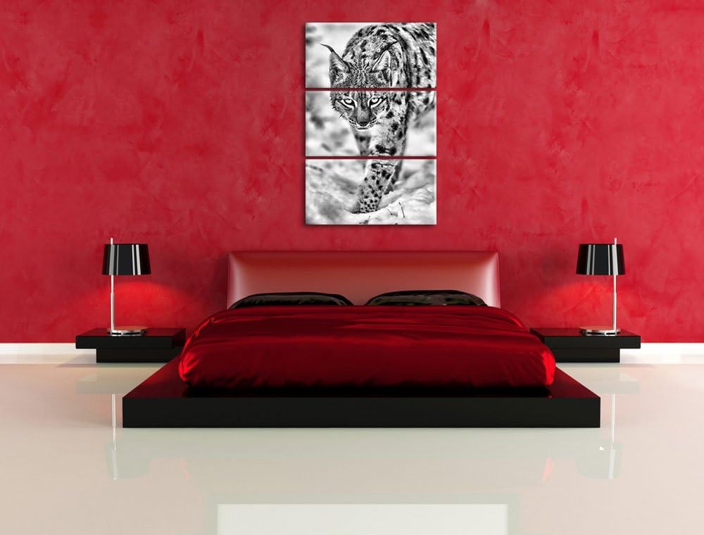 Pixxprint wachsamer Luchs im Schnee als Leinwandbild/Grösse: 3 Teilig (120x80) cm/Wandbild/Kunstdruc
