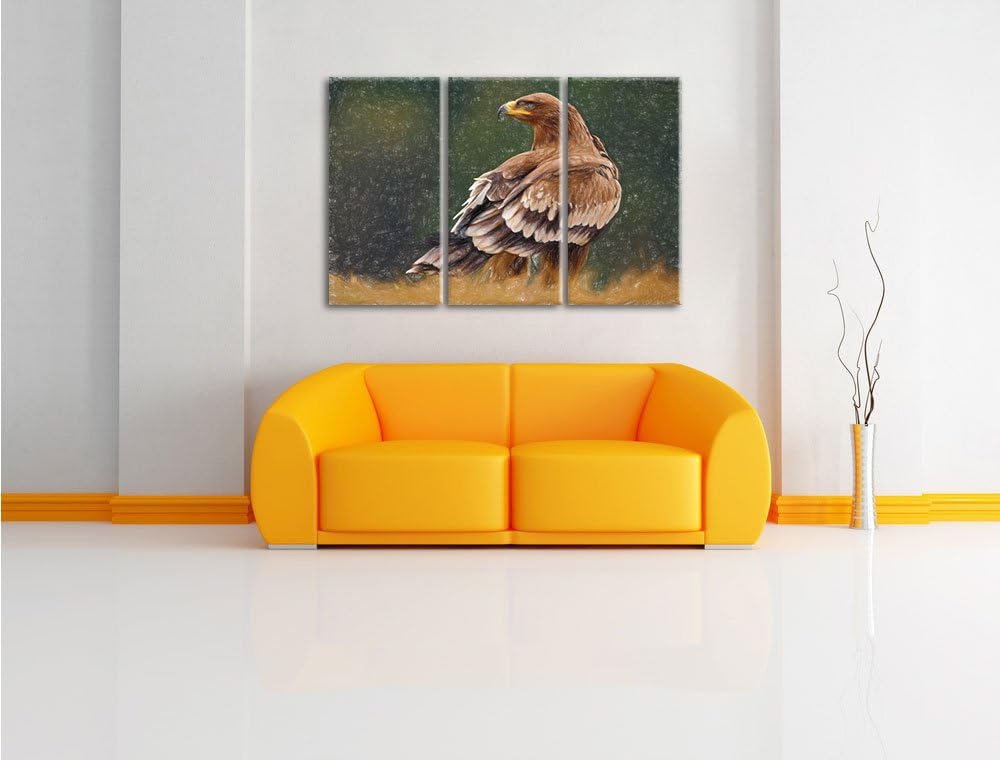 Pixxprint Falke mit braunem Gefieder als Leinwandbild 3 teilig/Grösse: 3 Teilig (120x80) / Wandbild/