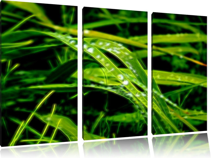 Pixxprint Grashalme Neon Lights Effekt 3-Teiler Leinwandbild 120x80 Bild auf Leinwand