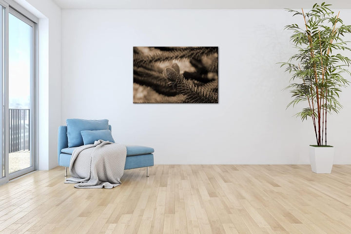 deyoli Frühlingserwachen der Tannenbäume Format: 80x60 als Leinwand, Effekt: Sepia, Motiv fertig ger