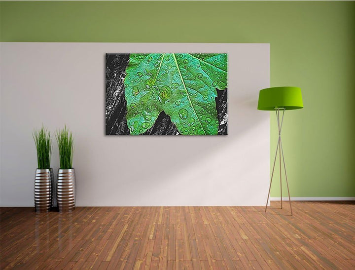 viele kleine Regentropfen auf Blatt schwarz/weiss Deluxe Format: 100x70 cm auf Leinwand, XXL riesige