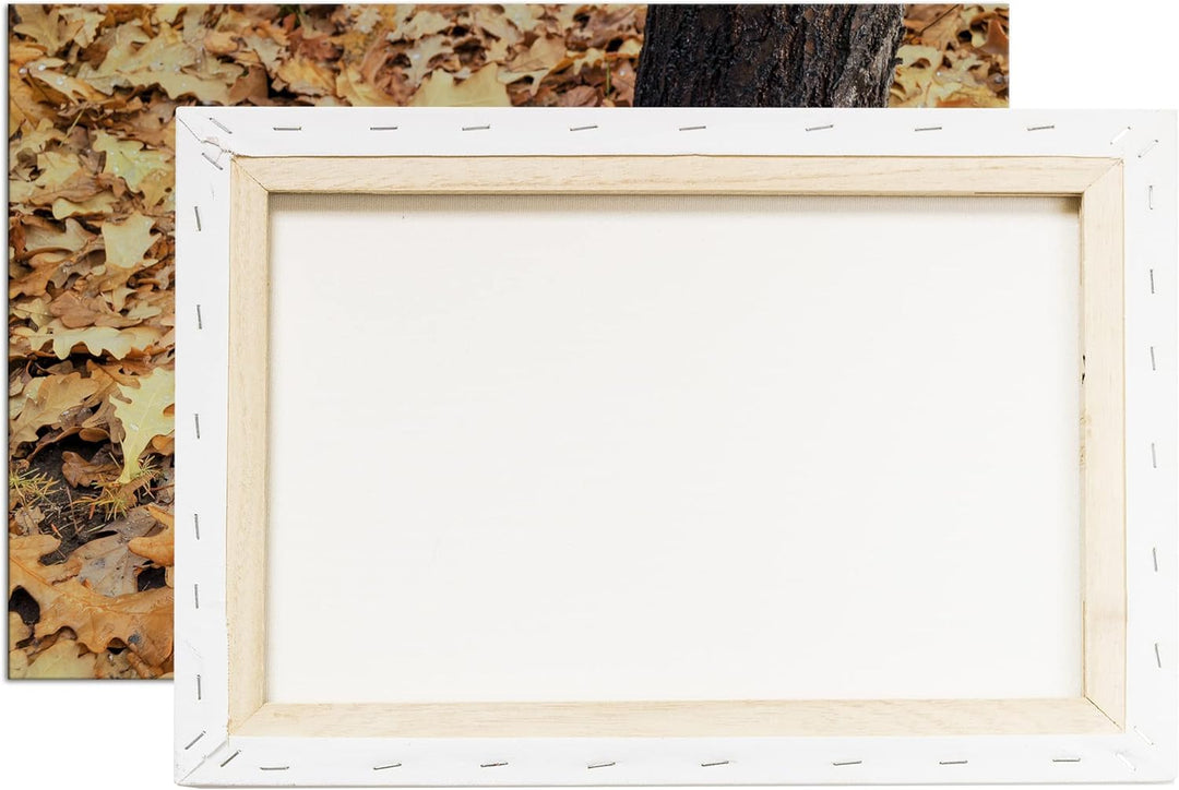 deyoli frische Kürbise Format: 120x80 als Leinwandbild, Motiv fertig gerahmt auf Echtholzrahmen, Hoc