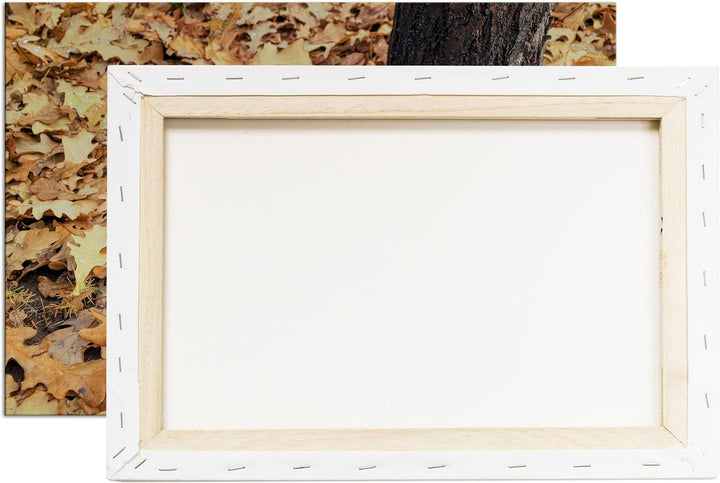deyoli frische Kürbise Format: 120x80 als Leinwandbild, Motiv fertig gerahmt auf Echtholzrahmen, Hoc