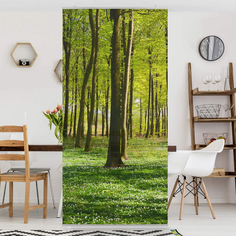 Bilderwelten Raumteiler Waldwiese 250x120cm inkl. transparenter Halterung 250x120cm incl. transparen