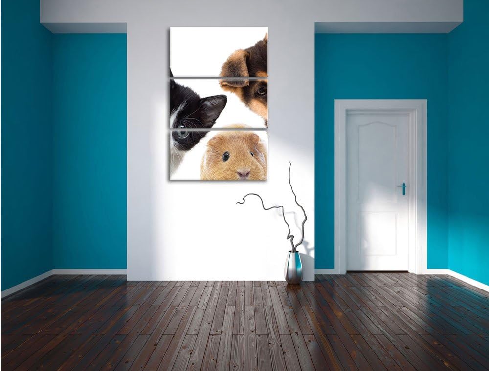 Pixxprint Trio Hund Katze Meerschwein / 3-Teilig/Gesamtmass 120cm Leinwandbild bespannt auf Holzrahm