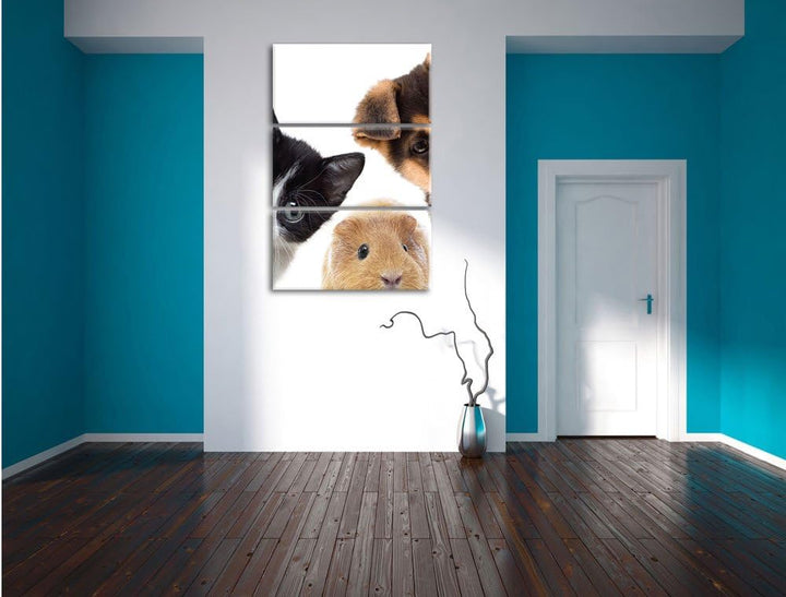 Pixxprint Trio Hund Katze Meerschwein / 3-Teilig/Gesamtmass 120cm Leinwandbild bespannt auf Holzrahm