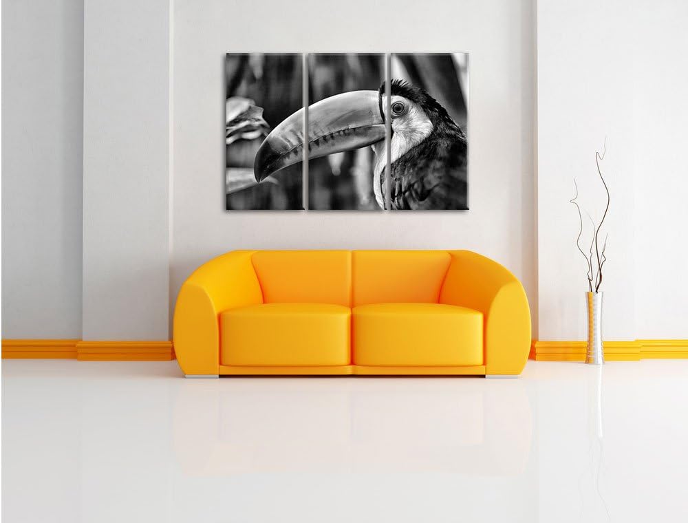 Pixxprint Monocrome, schöner Tukan 3-Teiler Leinwandbild 120x80 Bild auf Leinwand