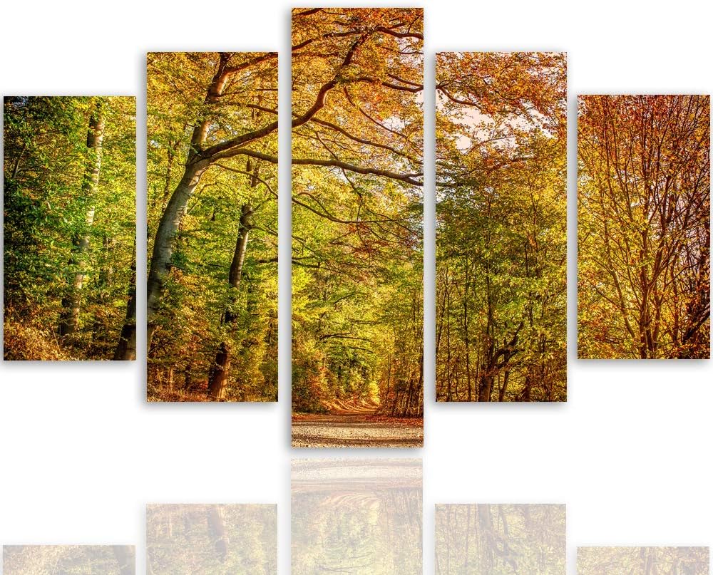 Leinwandbild Herbst 5 TLG Bild Kunstdruck Landschaft Natur Wald bunt 100x70 cm Leinwandbild 100x70 c