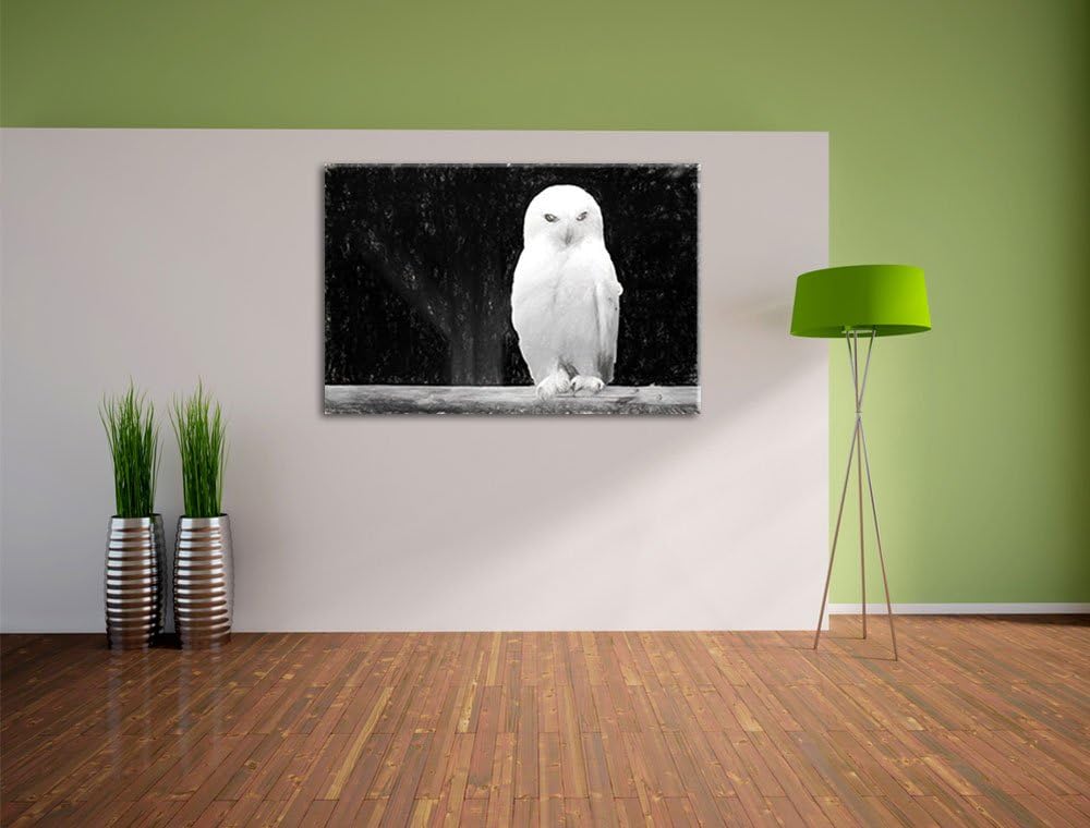 Pixxprint Weisse Schneeeule als Leinwandbild/Grösse: 100x70 / Wandbild/Kunstdruck/fertig bespannt, 1