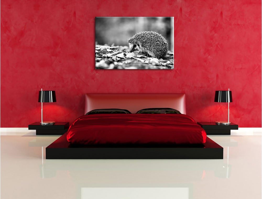 Monocrome, Igel im Laub , Format: 100x70 auf Leinwand, XXL riesige Bilder fertig gerahmt mit Keilrah