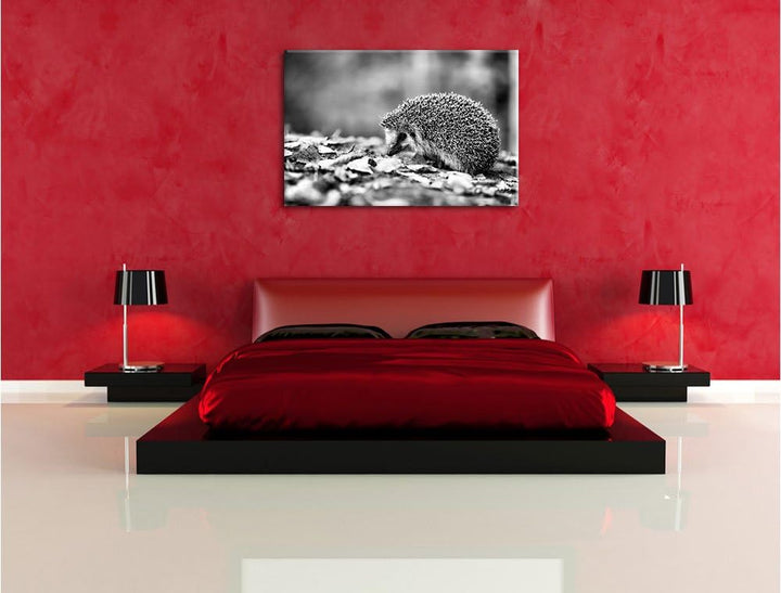 Monocrome, Igel im Laub , Format: 100x70 auf Leinwand, XXL riesige Bilder fertig gerahmt mit Keilrah
