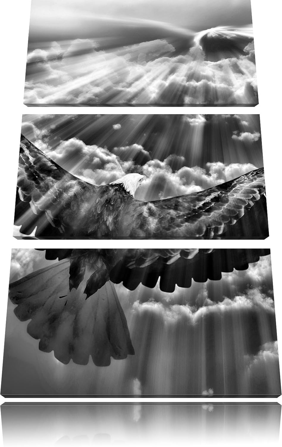Pixxprint Adler über den Wolken / 3-Teilig/Gesamtmass 120cm Leinwandbild bespannt auf Holzrahmen/Wan
