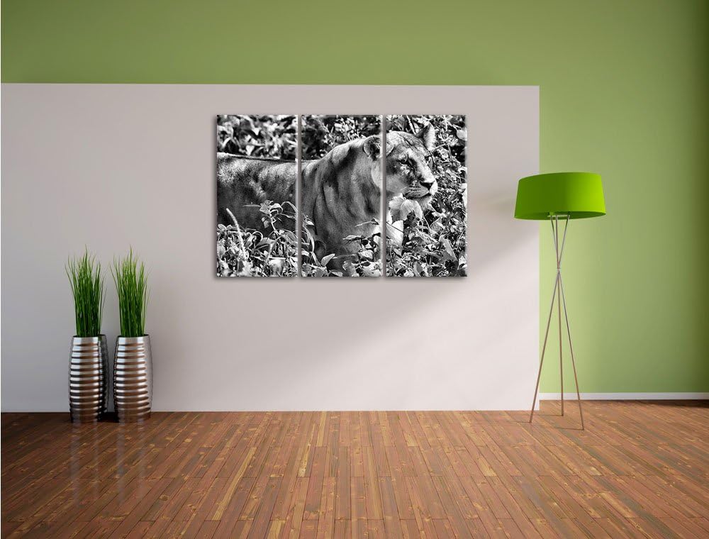 Pixxprint Monocrome, wachsame Löwin 3-Teiler Leinwandbild 120x80 Bild auf Leinwand