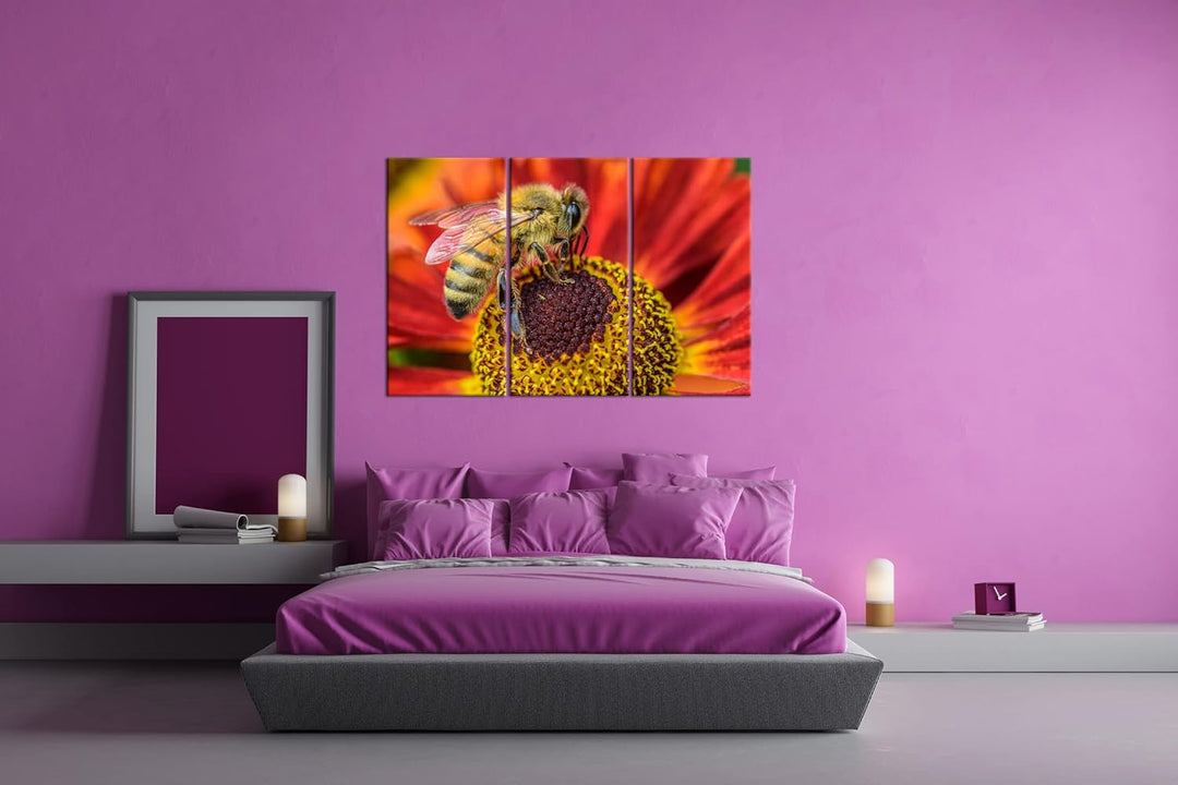 deyoli Biene beim Pollen sammeln Format: 3Teilig als Leinwandbild, Motiv fertig gerahmt auf Echtholz