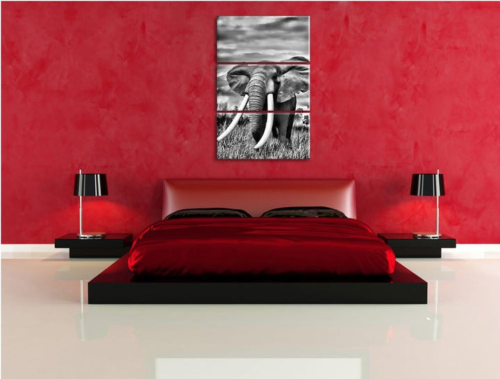 Pixxprint Stolzer Elefant in Savanne als Leinwandbild/Grösse: 3 Teilig (120x80) cm/Wandbild/Kunstdru
