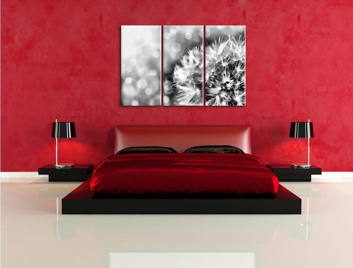 Pixxprint Monocrome, Zauberhafte Pusteblume 3-Teiler Leinwandbild 120x80 Bild auf Leinwand